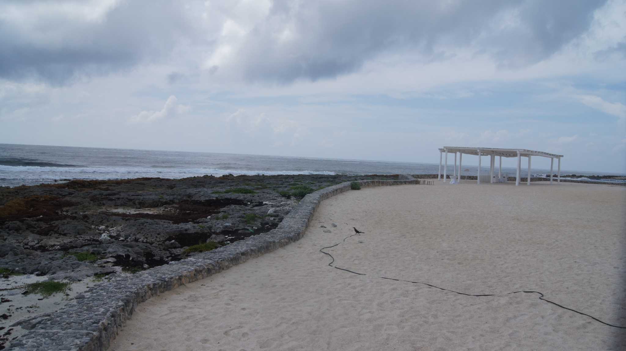    ().      .     . Bahia Principe - wedding-4 